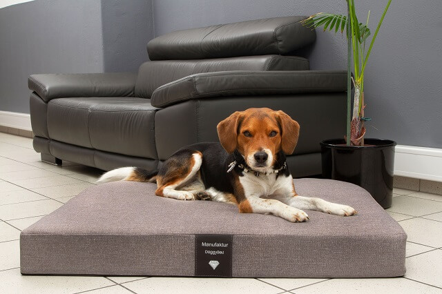 Hundematte MEDICAL